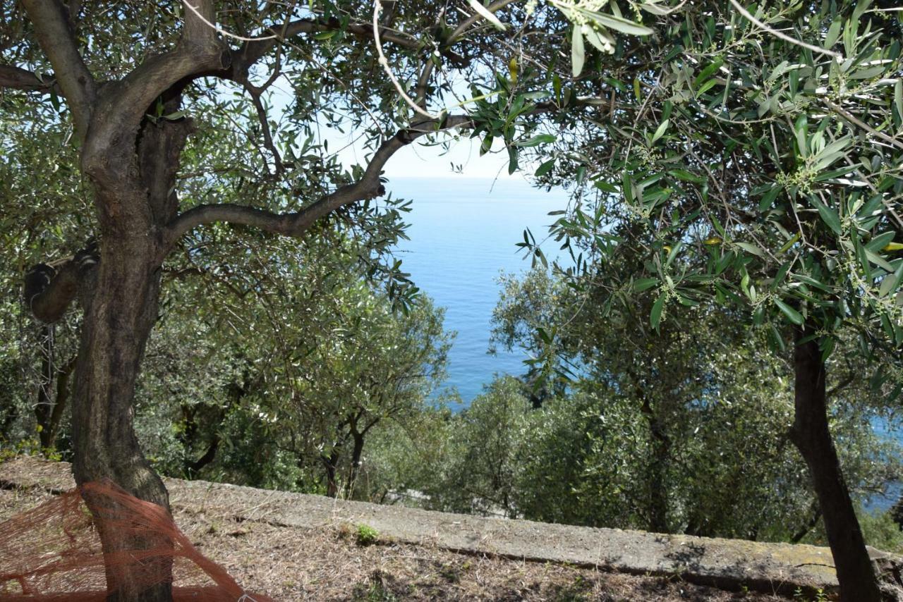Corner Of Paradise Near Cinque Terre Framura Exterior foto